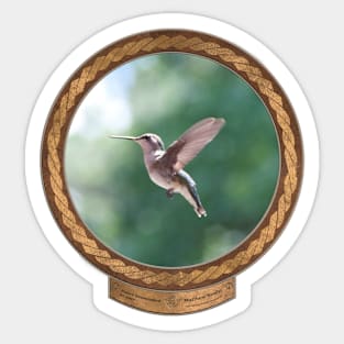 Paused Hummingbird #1 Sticker